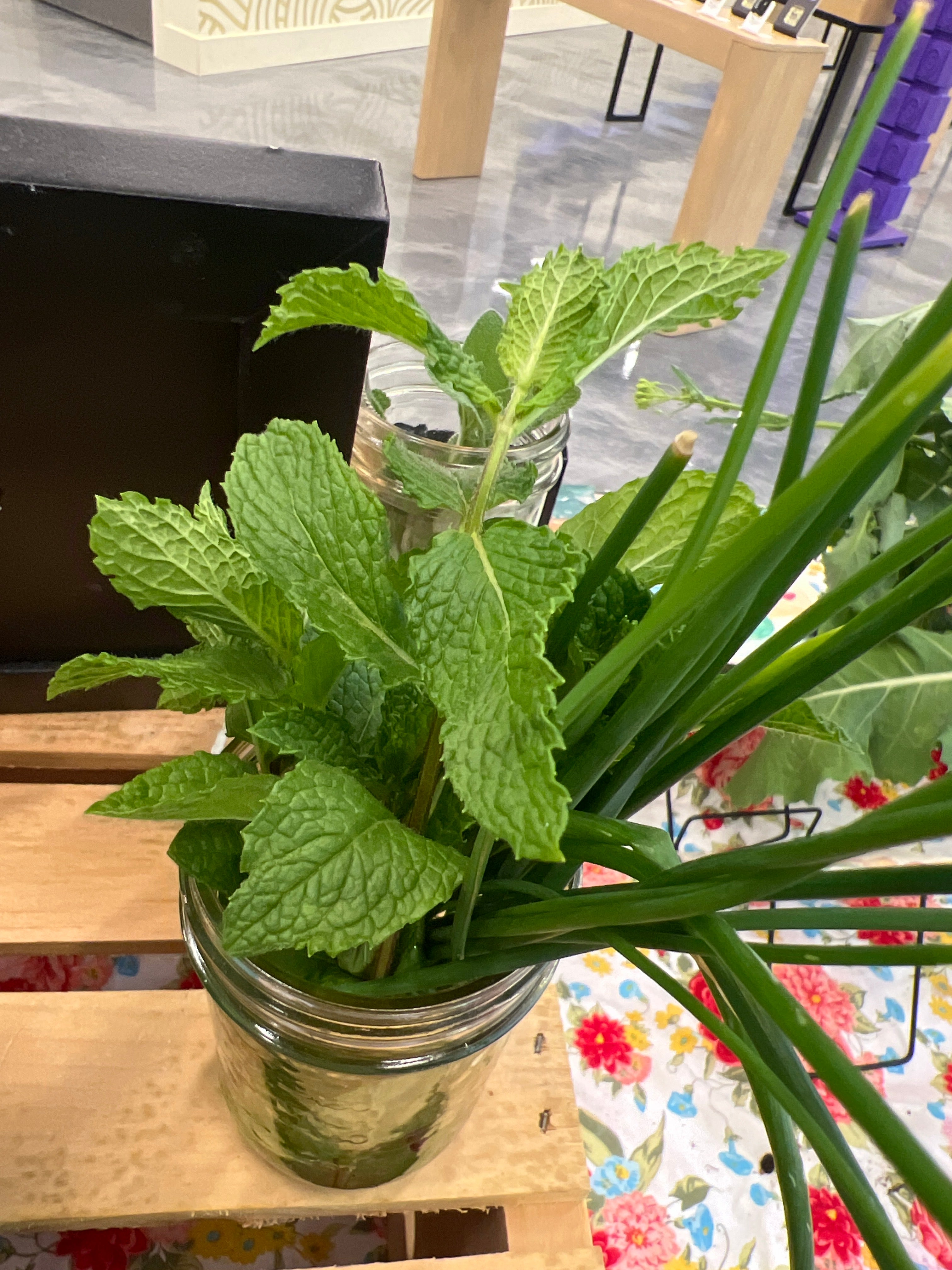 Herb Bundles