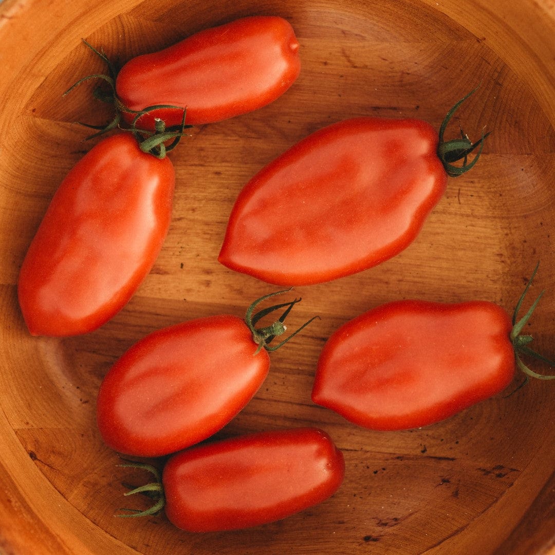San Marzano Tomato