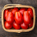 Roma Paste Tomato