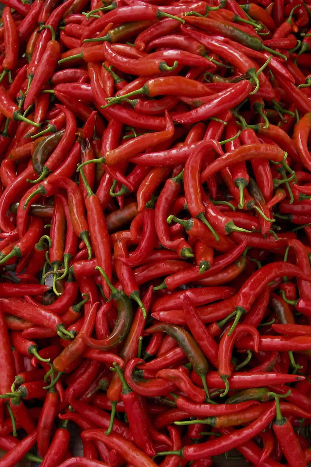 Mystery Pepper Duo